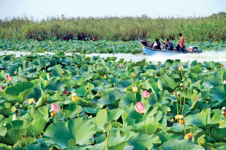 تالاب انزلی