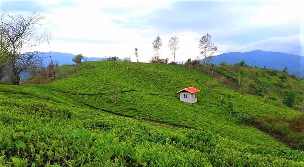 لیلاکوه لنگرود