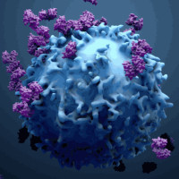 بررسی آخرین پیشرفت‌ها در درمان سرطان