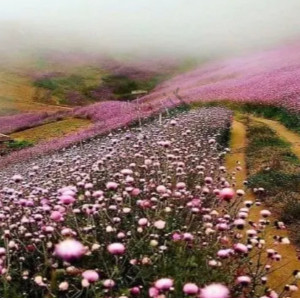 بهترین مقاصد گردشگری در بهار 1405