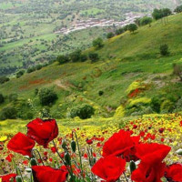 راهنمای کامل گردشگری استان کردستان