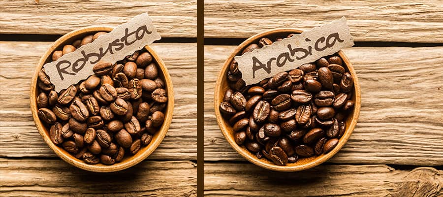 فرق بین قهوه روبوستا و عربیکا