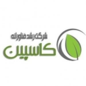 رشد فناورانه کاسپین