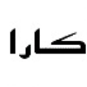 کارا کنترل پویا