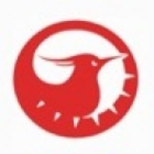 گروه صنعتی دارکوب