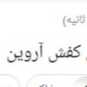 کفش آروین