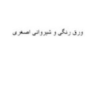 ورق رنگی و شیروانی اصغری
