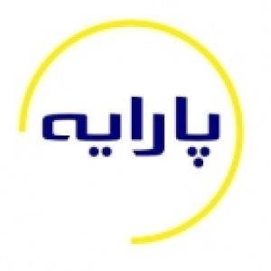 گسترش داده پردازی پارایه
