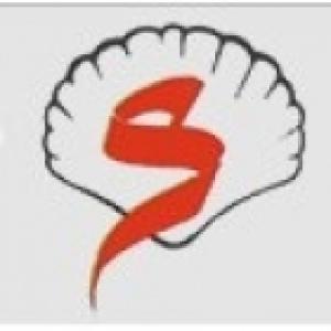 چرم سازان صدف مشهد