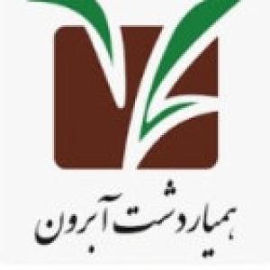 همیار دشت آبرون